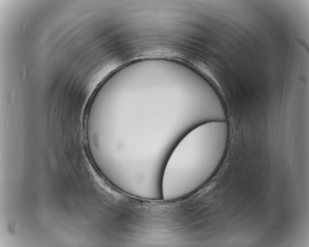 X0000102791087200808180948