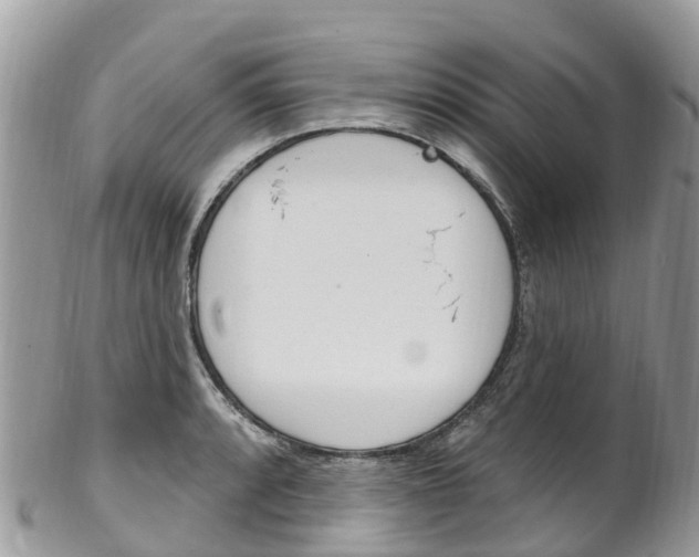 X0000102791088200808180948