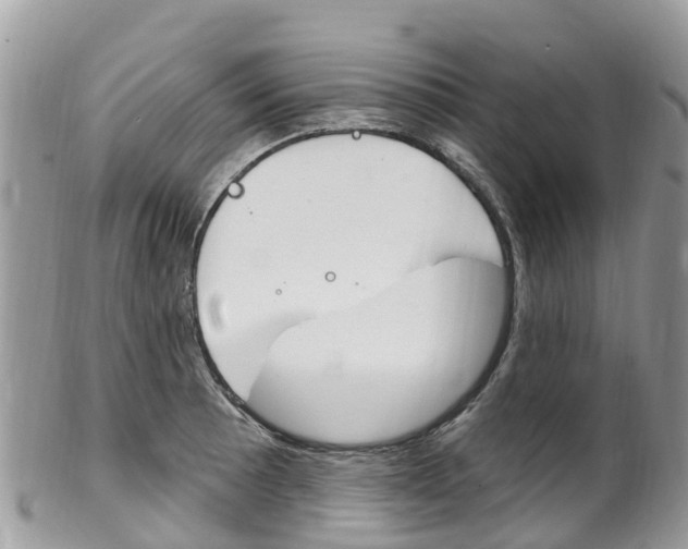 X0000102791089200808180948