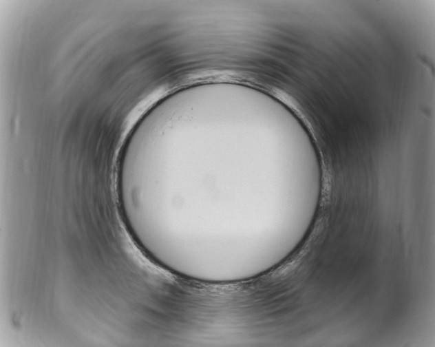 X0000102791090200808180948