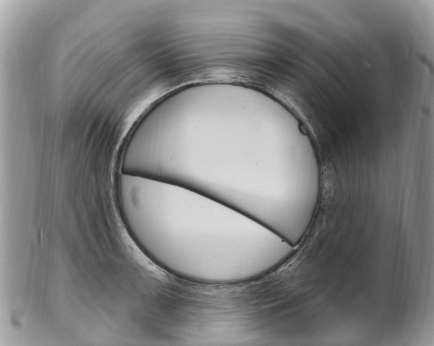 X0000102791091200808180948