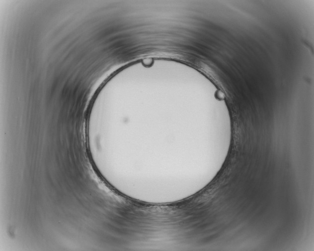 X0000102791092200808180948