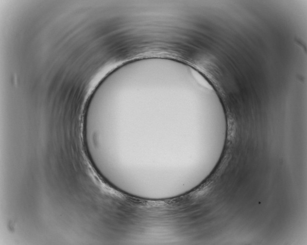 X0000102791094200808180948