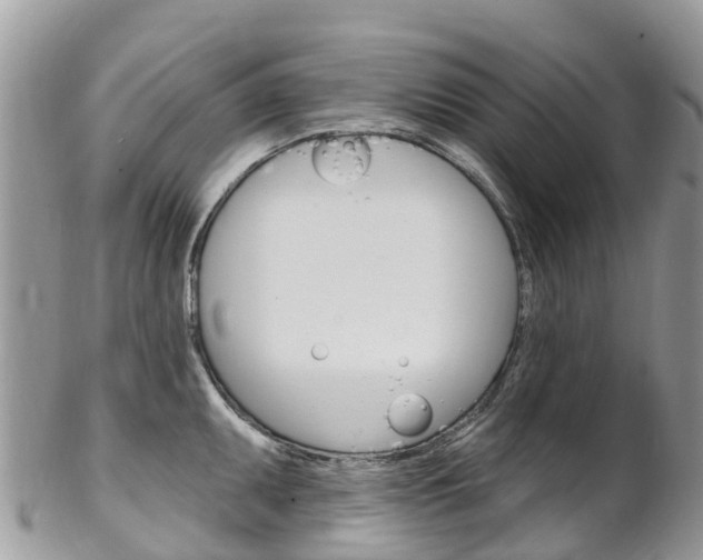 X0000102791095200808180948