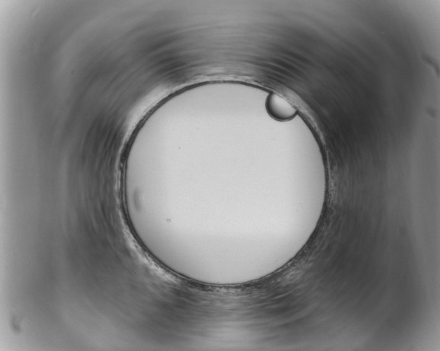 X0000102791096200808180948
