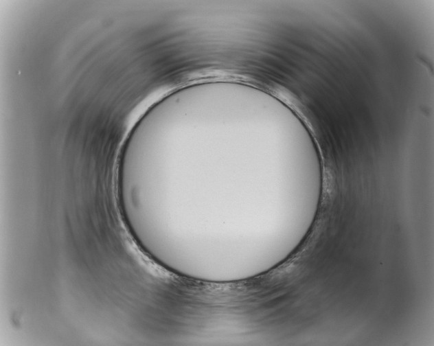 X0000102791098200808180948