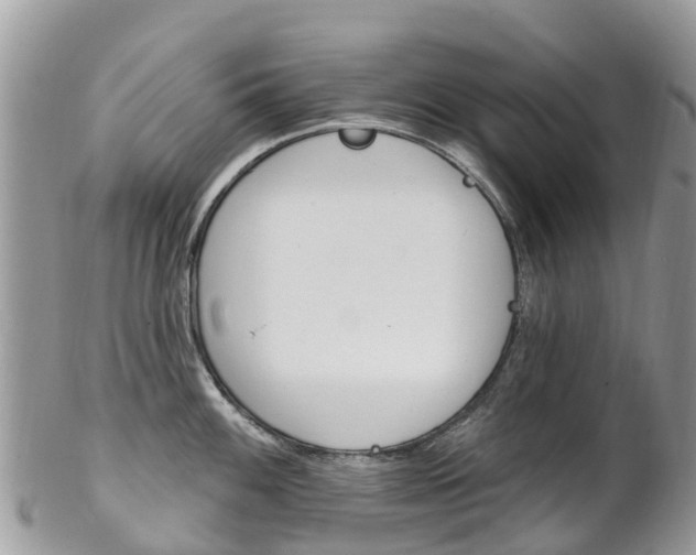 X0000102791100200808180948