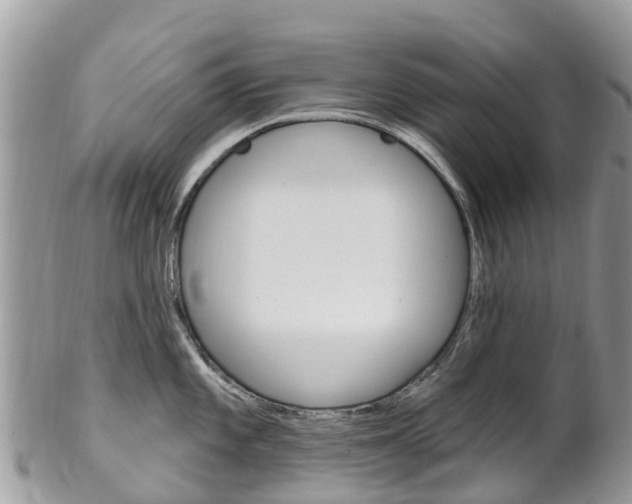 X0000102791101200808180948