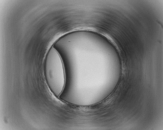 X0000102791102200808180948