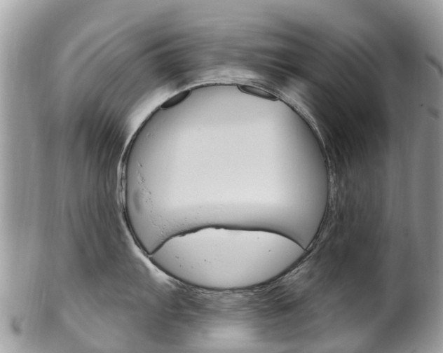 X0000102791103200808180948