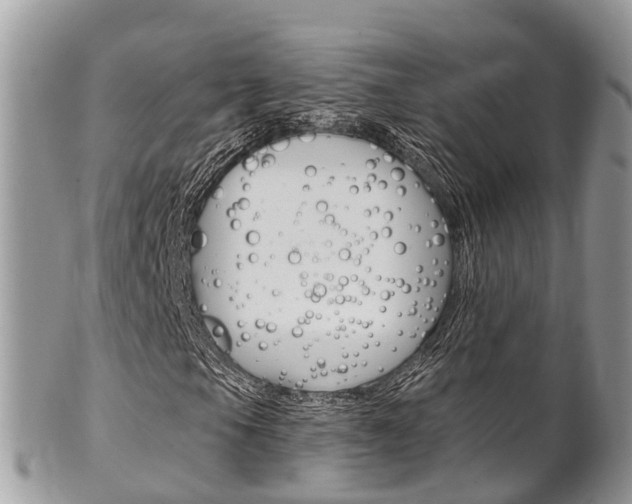 X0000102791105200808180947