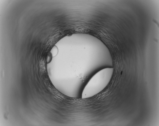 X0000102791106200808180947