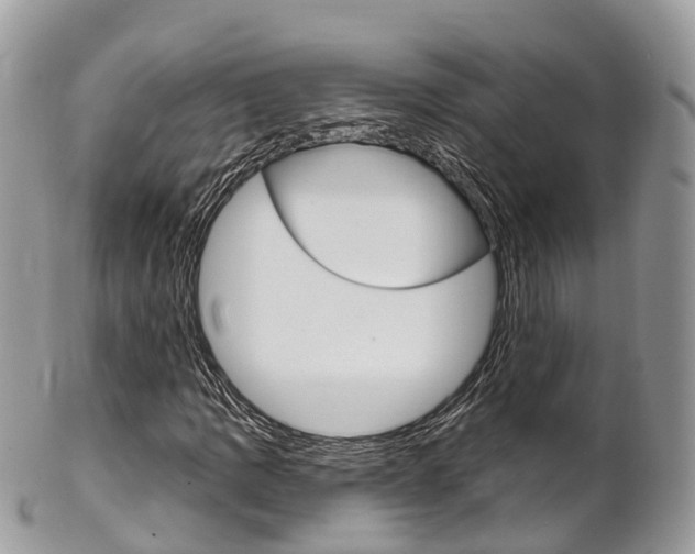 X0000102791109200808180947