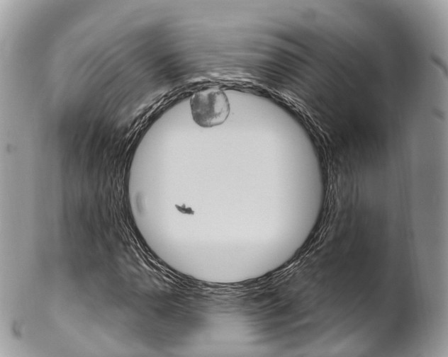 X0000102791110200808180947