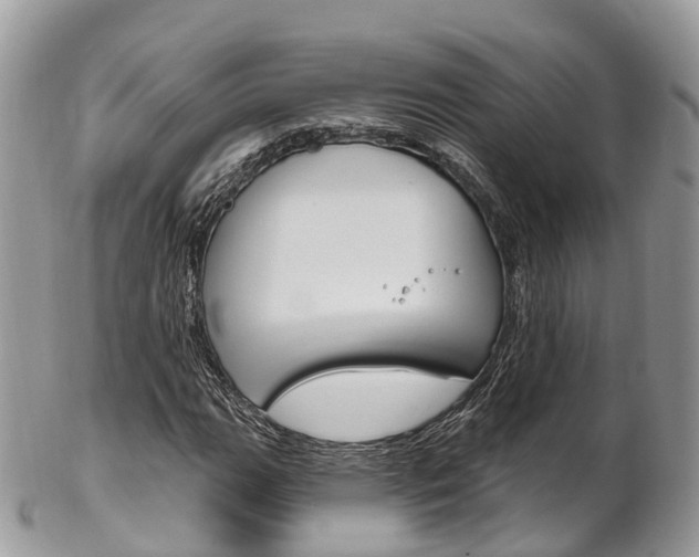 X0000102791111200808180947