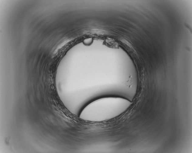 X0000102791112200808180947