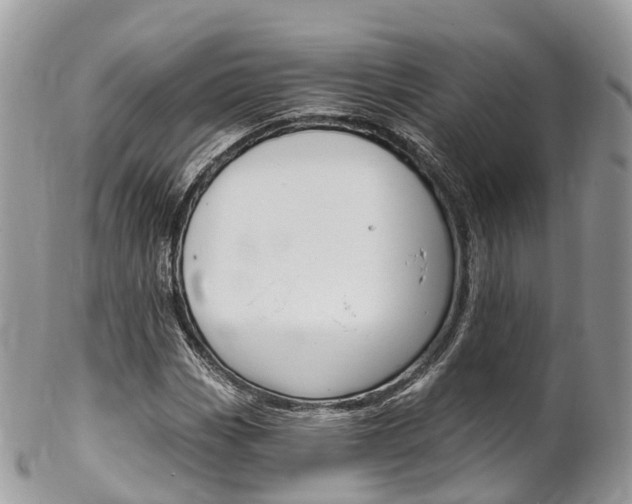 X0000102791113200808180947