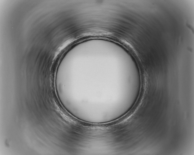 X0000102791114200808180947