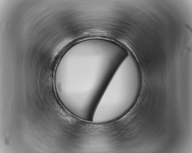 X0000102791115200808180947