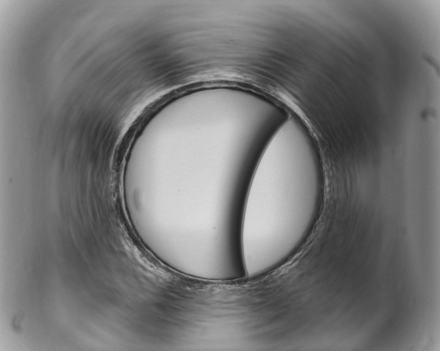 X0000102791116200808180947