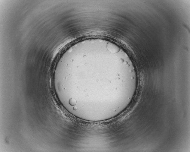 X0000102791117200808180947