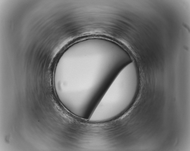 X0000102791118200808180947