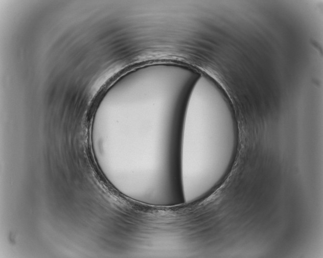 X0000102791119200808180947