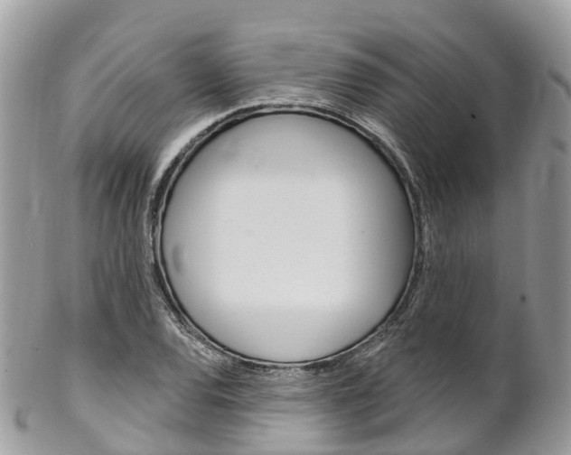 X0000102791120200808180948