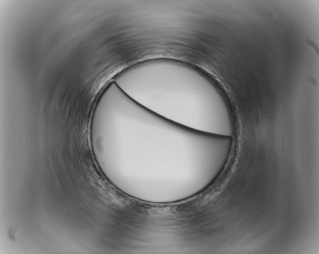 X0000102791121200808180948