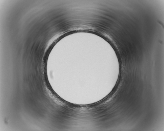 X0000102791122200808180948