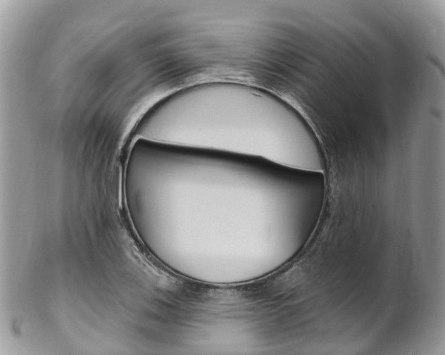 X0000102791123200808180948