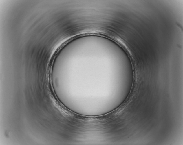 X0000102791124200808180948
