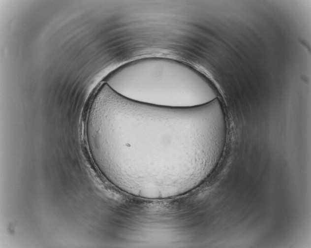 X0000102791125200808180948
