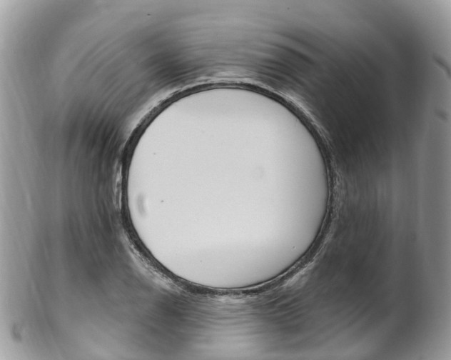 X0000102791126200808180948