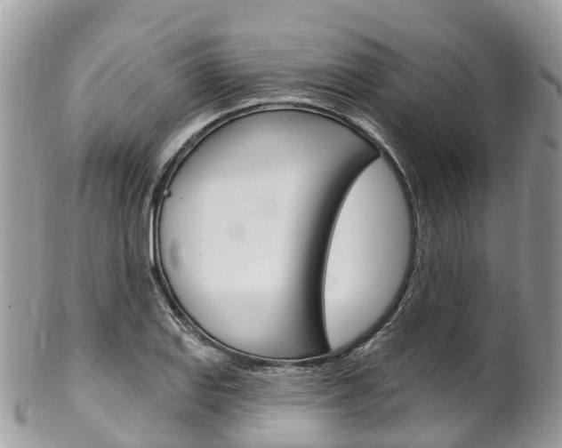 X0000102791127200808180948
