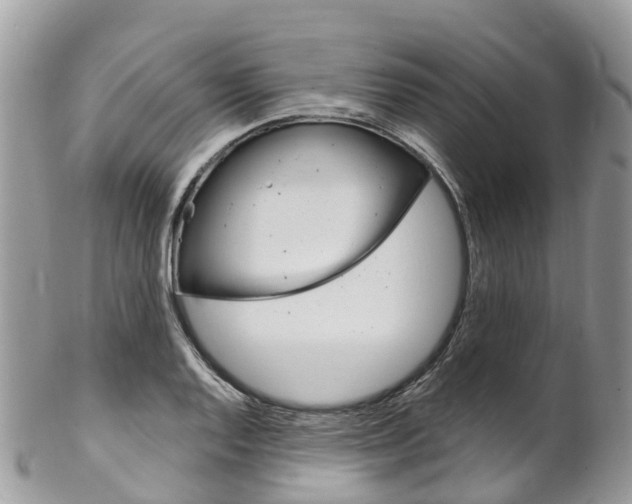 X0000102791128200808180948