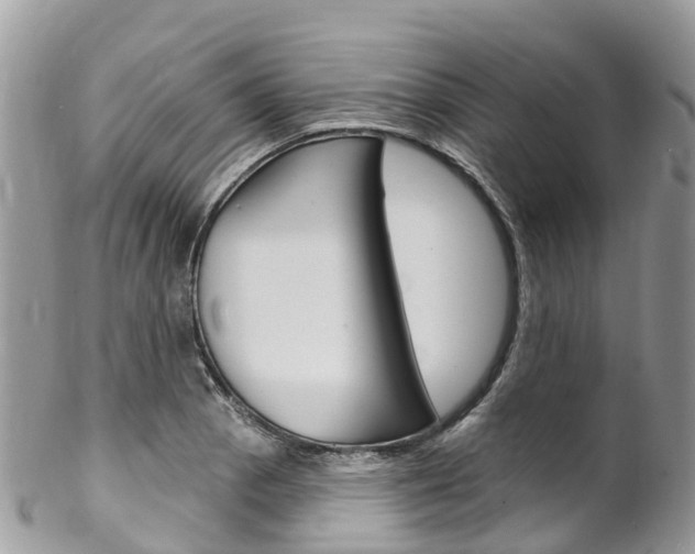 X0000102791129200808180948