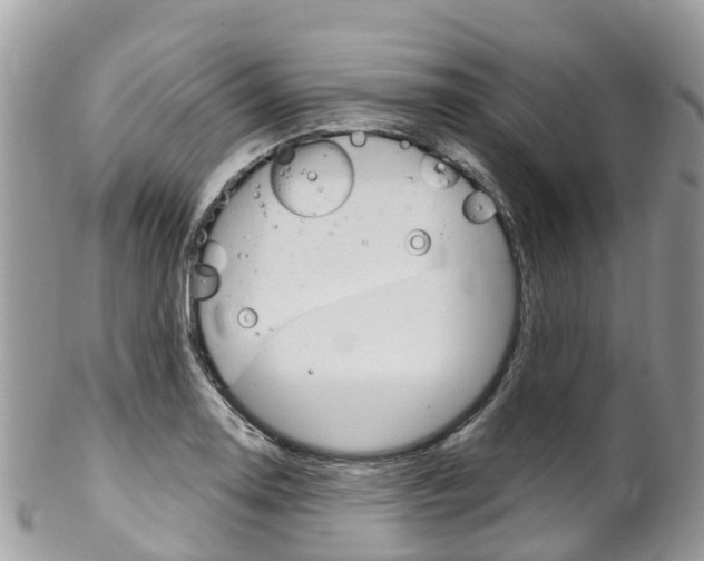 X0000102791130200808180948