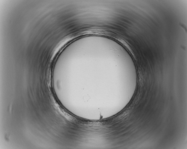 X0000102791131200808180948