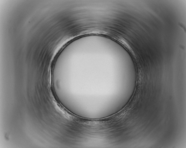 X0000102791132200808180948