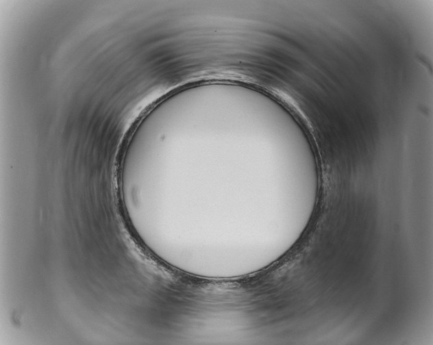 X0000102791133200808180948