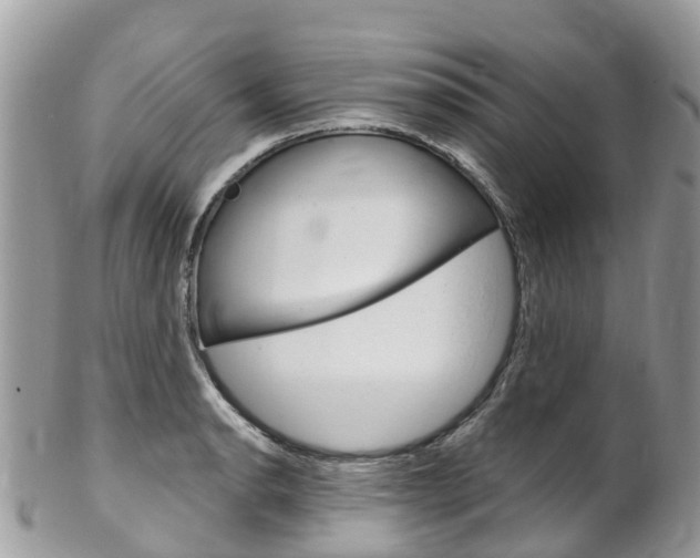 X0000102791134200808180948