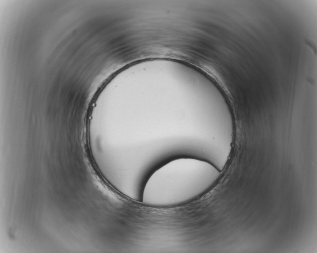 X0000102791136200808180948