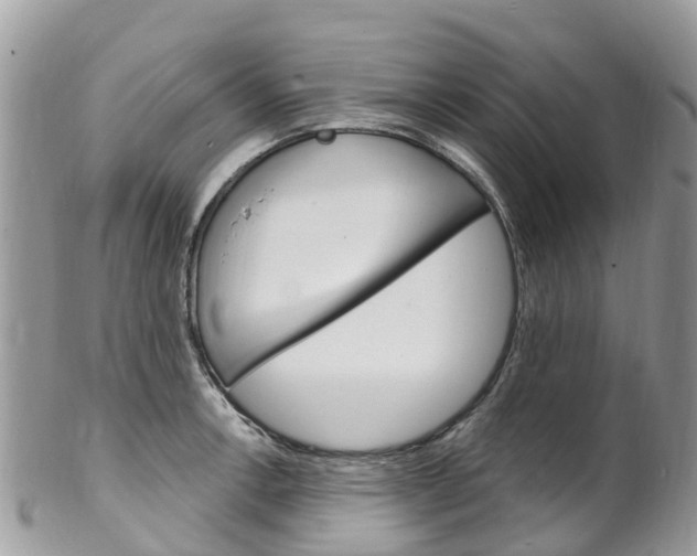 X0000102791138200808180948