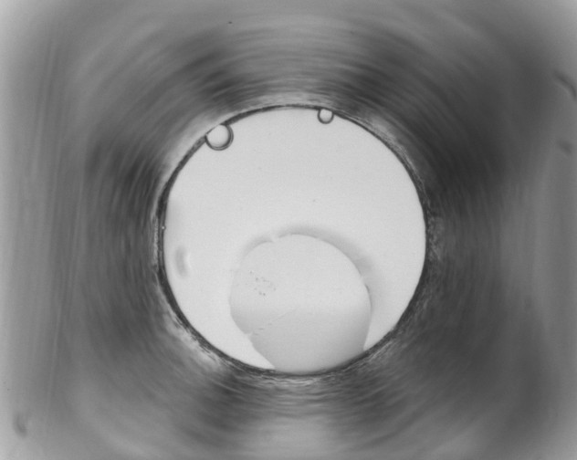 X0000102791140200808180948
