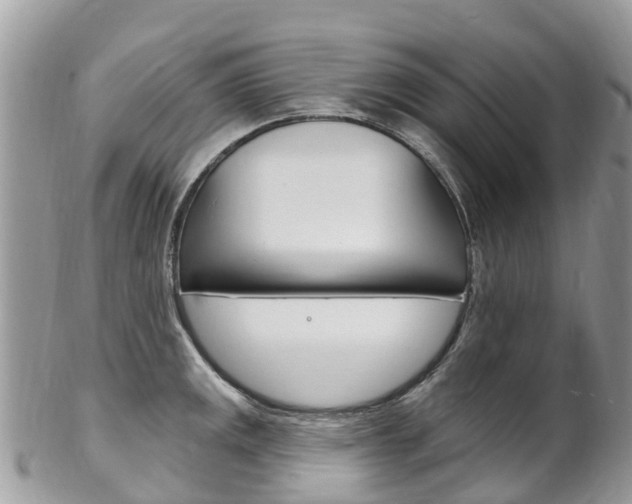 X0000102791141200808180948