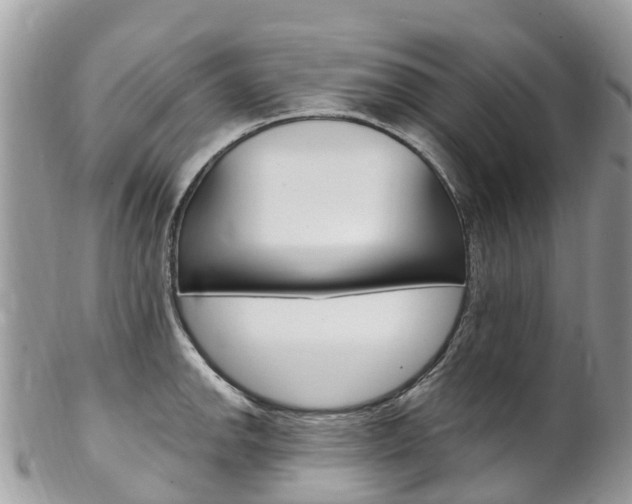 X0000102791142200808180948