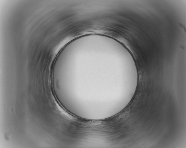 X0000102791143200808180948