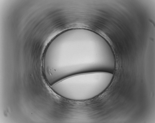 X0000102791144200808180948
