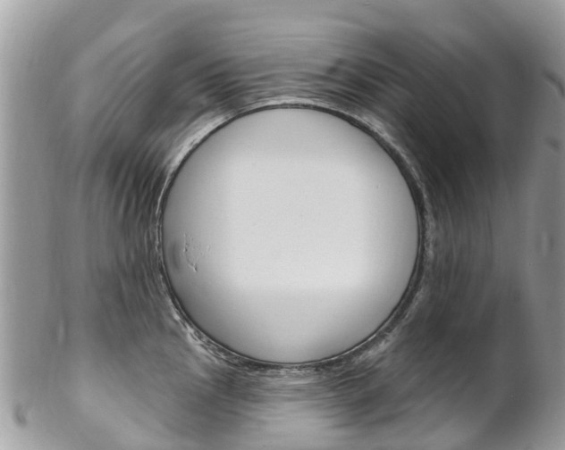 X0000102791145200808180948